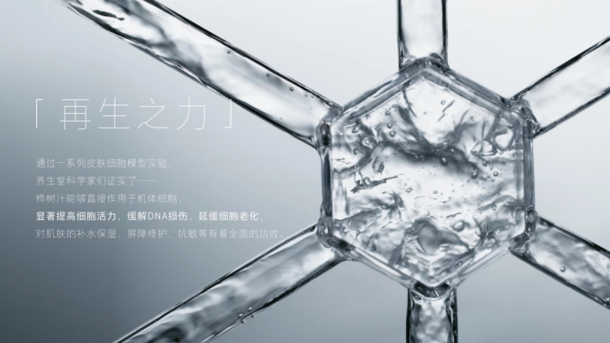 养生堂 品牌手册_第7页