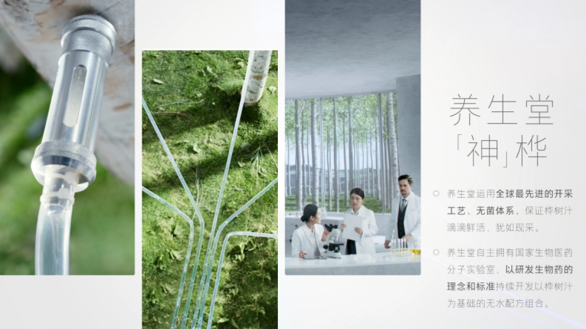 养生堂 品牌手册_第8页