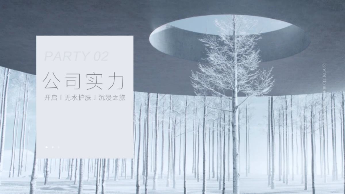 养生堂 品牌手册_第9页