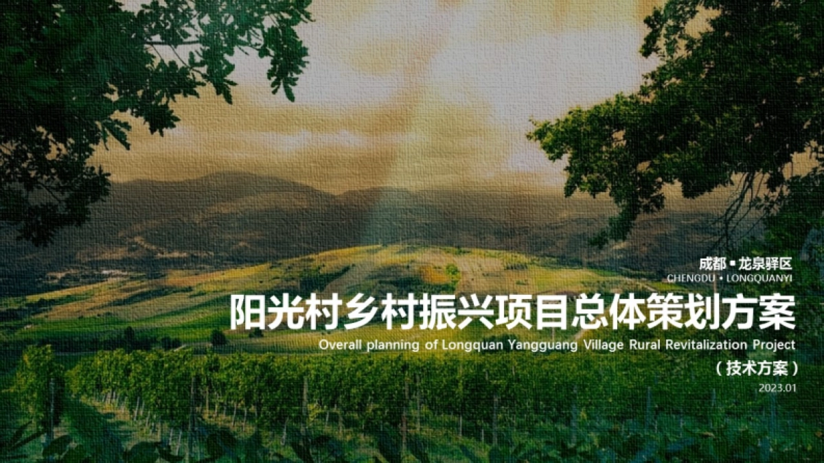 成都市龙泉阳光村乡村振兴项目总体策划技术案_第1页