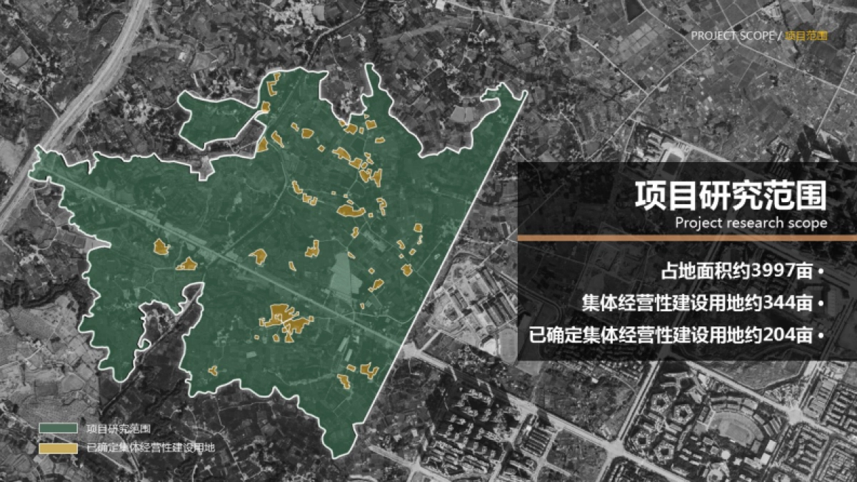 成都市龙泉阳光村乡村振兴项目总体策划技术案_第3页