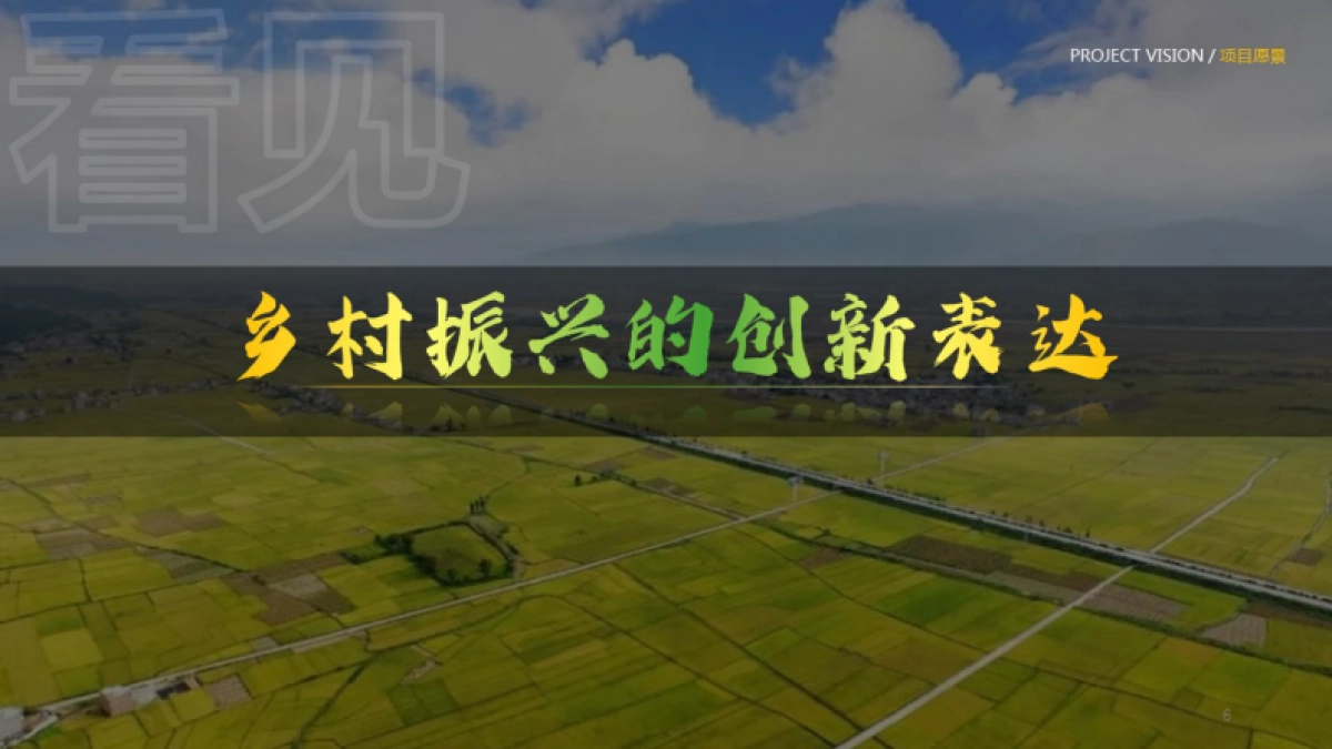 成都市龙泉阳光村乡村振兴项目总体策划技术案_第6页