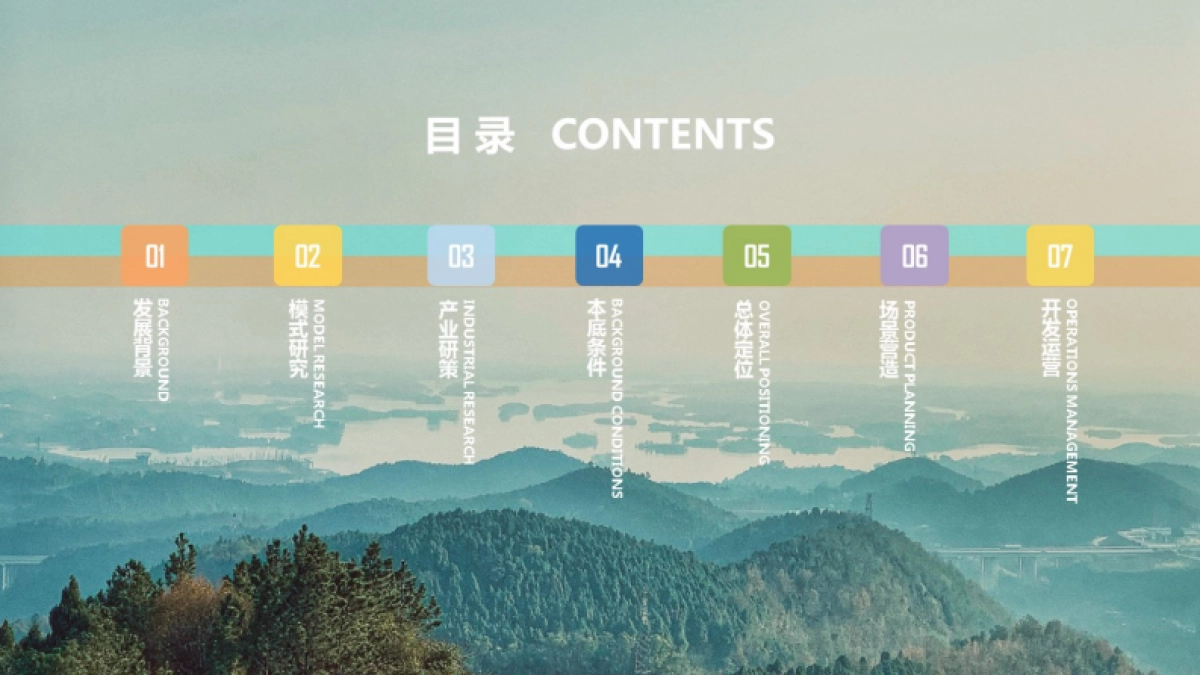 成都市龙泉阳光村乡村振兴项目总体策划技术案_第8页