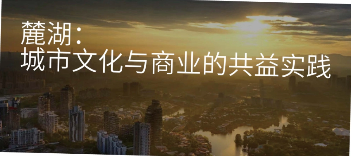 《麓湖城市文化与商业的共益实践》城市新中心生活方式中心1_第1页