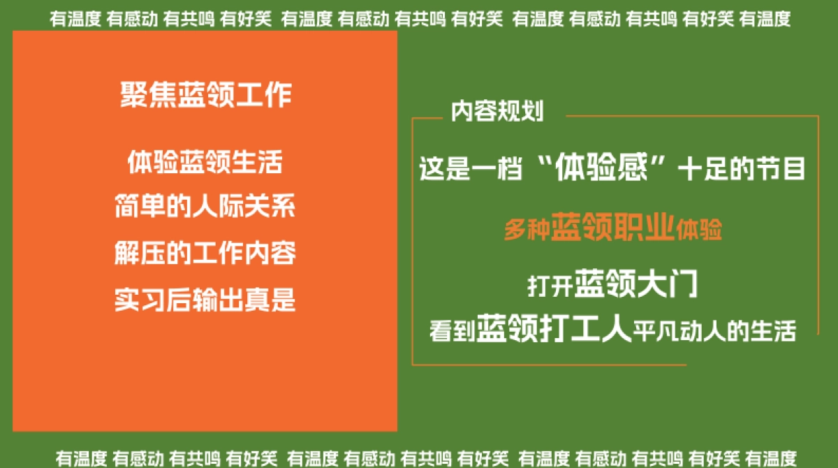 快手蓝领职业体验直播真人秀招商方案_第8页