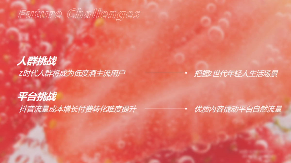 锐澳RIO抖音dp运营方案_第2页