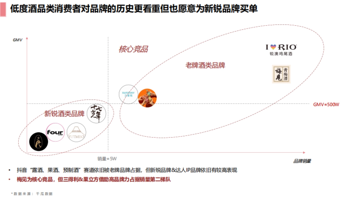 锐澳RIO抖音dp运营方案_第8页