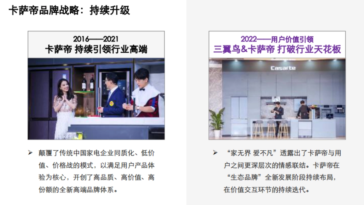 高端家电品牌思享荟传播案例_第10页