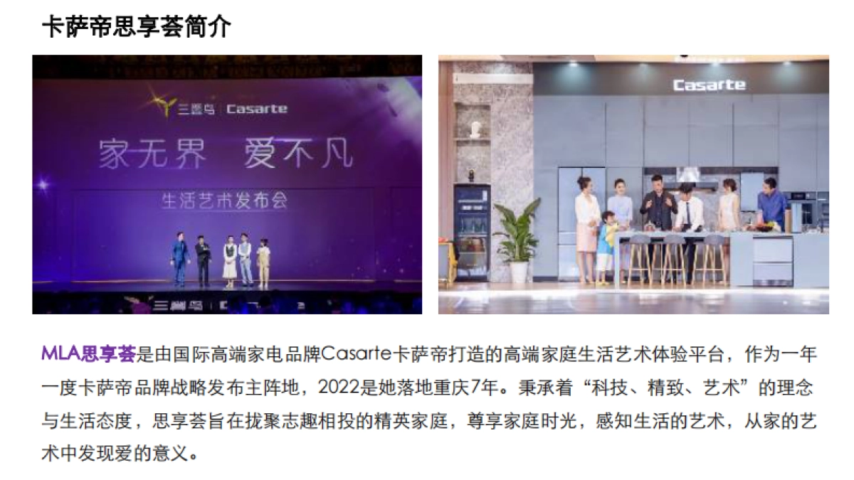 高端家电品牌思享荟传播案例_第8页