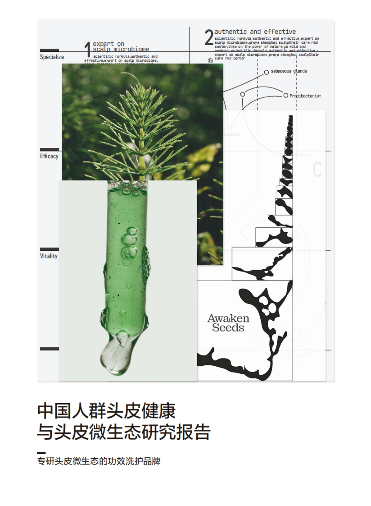 2025年中国人群头皮健康与头皮微生态研究报告_第1页