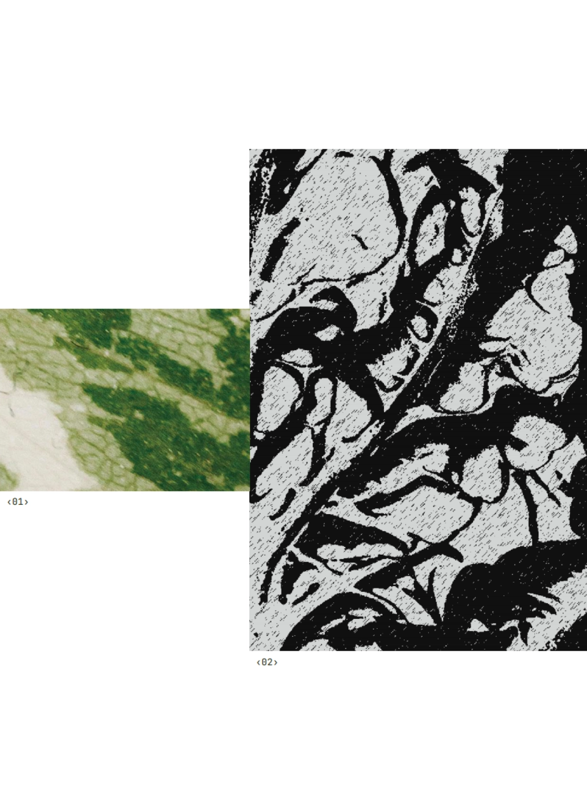 2025年中国人群头皮健康与头皮微生态研究报告_第3页