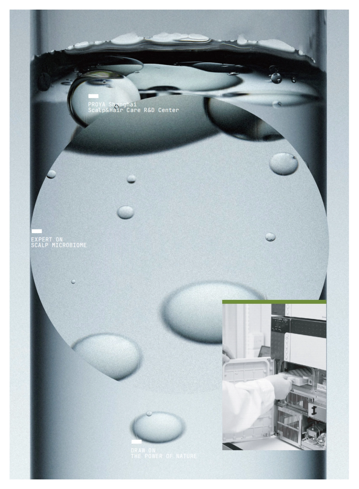 2025年中国人群头皮健康与头皮微生态研究报告_第7页