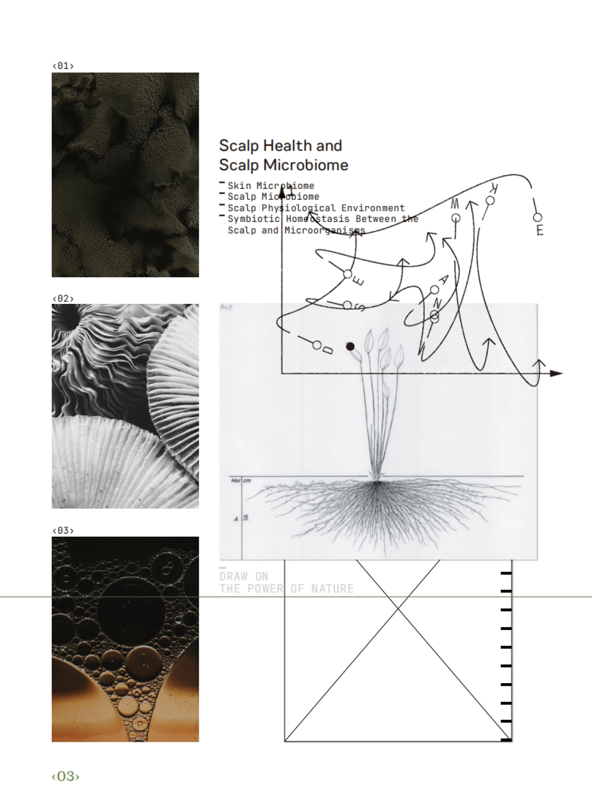 2025年中国人群头皮健康与头皮微生态研究报告_第9页