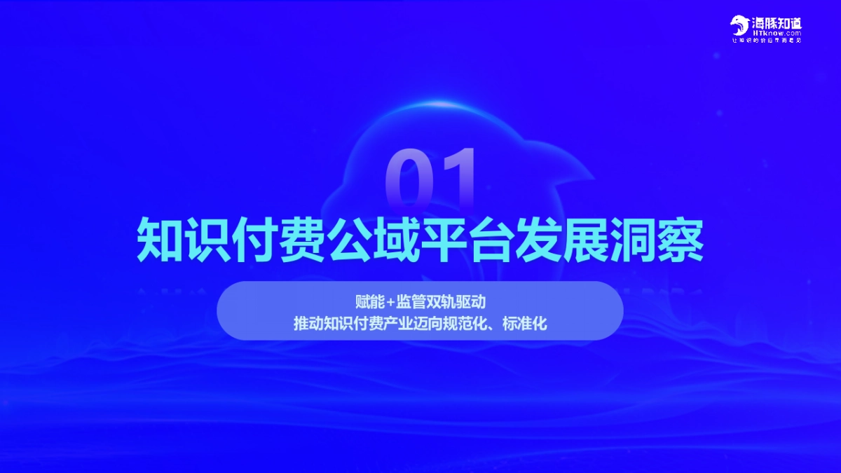 2025上半年度中国知识付费产业数据洞察报告_第3页