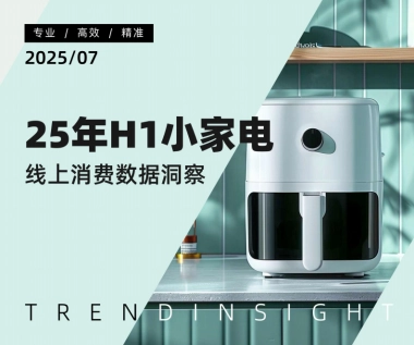 2025年H1小家电线上消费数据洞察-炼丹炉