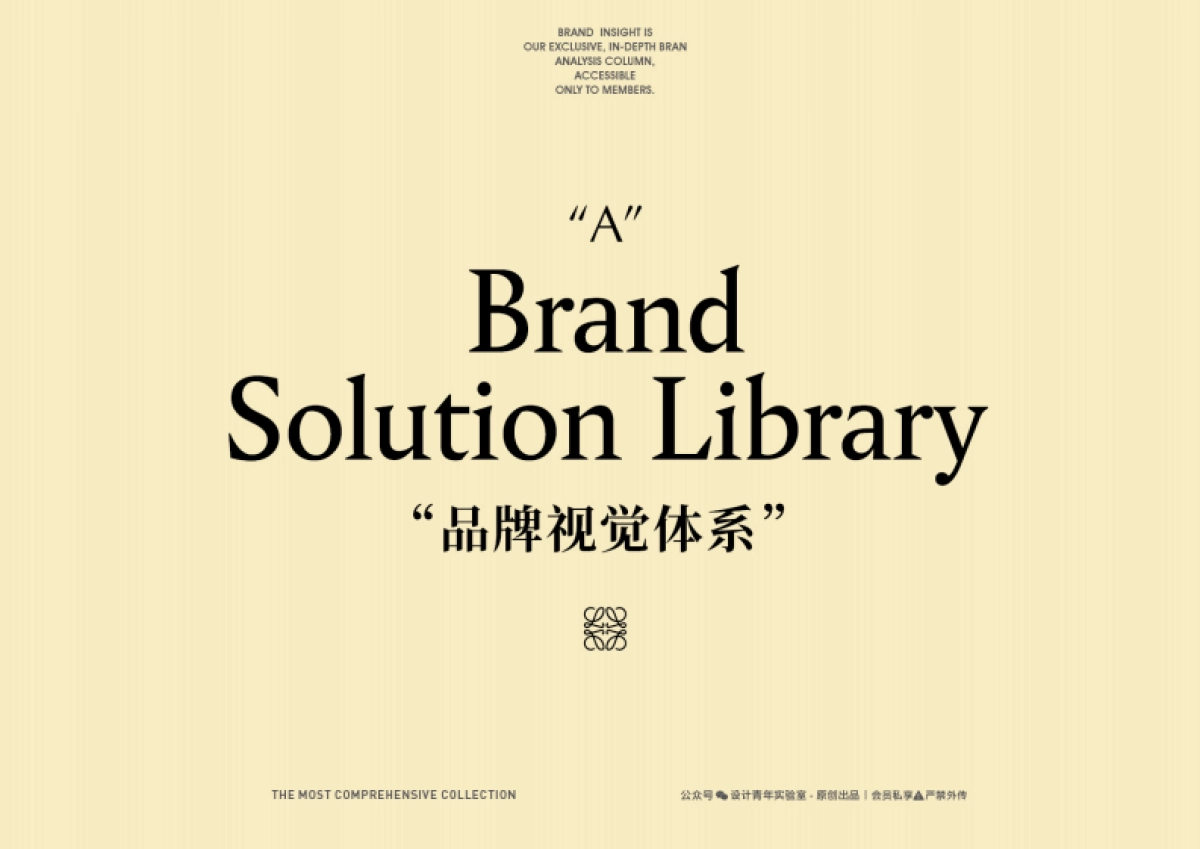 LOEWE罗意威品牌资料全收录_第4页