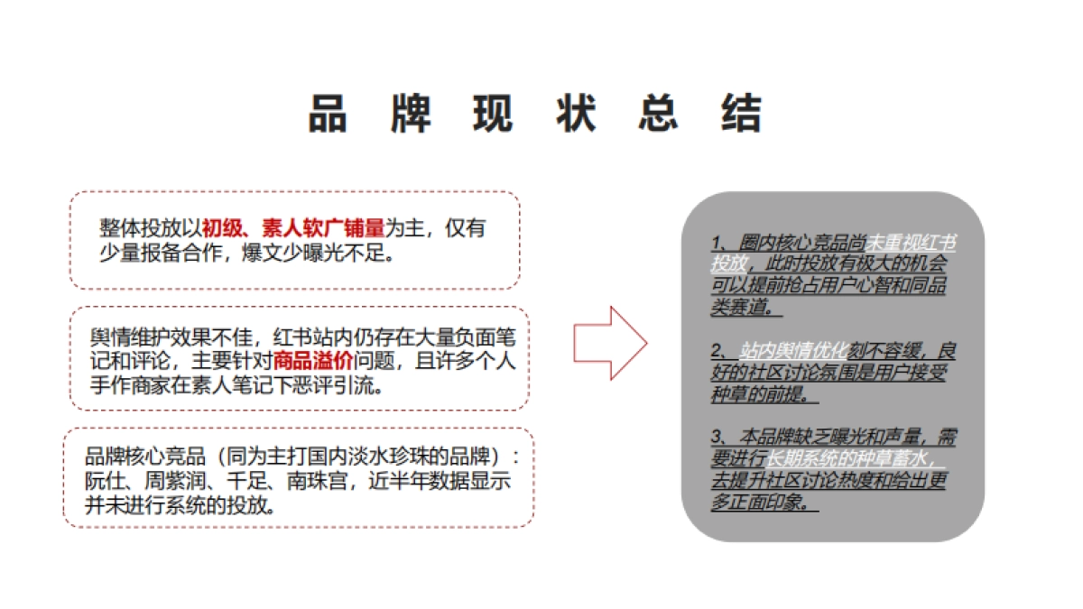 京润珍珠小红书推广方案_第10页