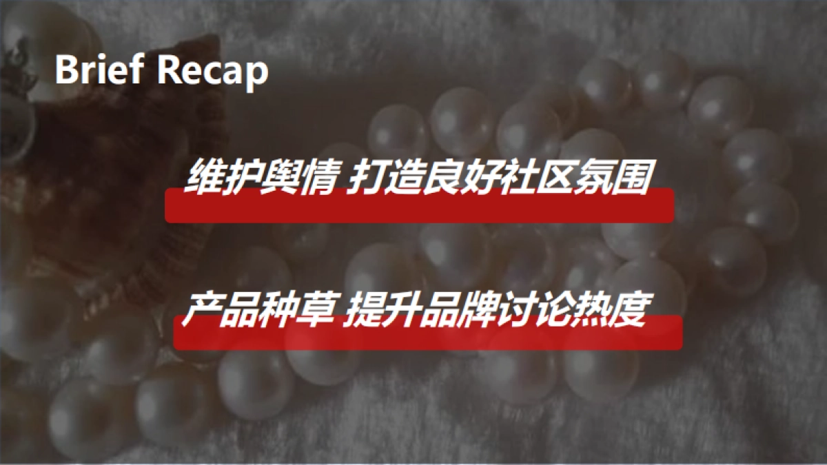 京润珍珠小红书推广方案_第2页