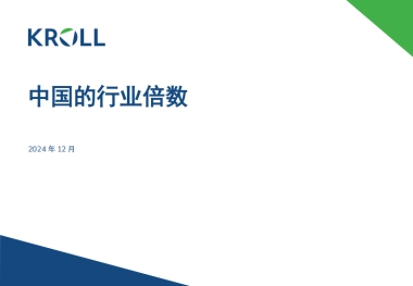 2024年中国行业倍数报告