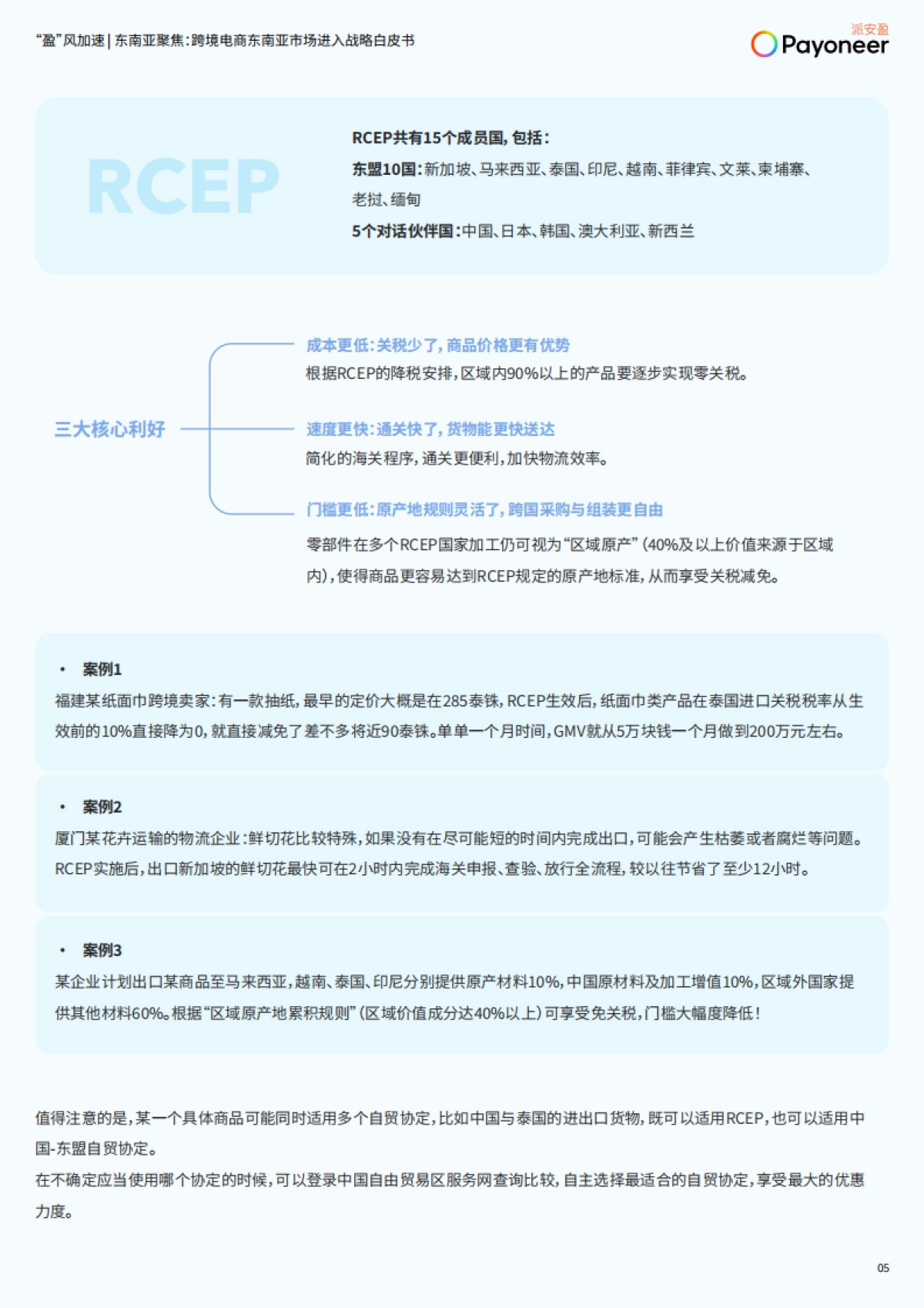 2025年跨境电商东南亚市场进入战略白皮书_第6页