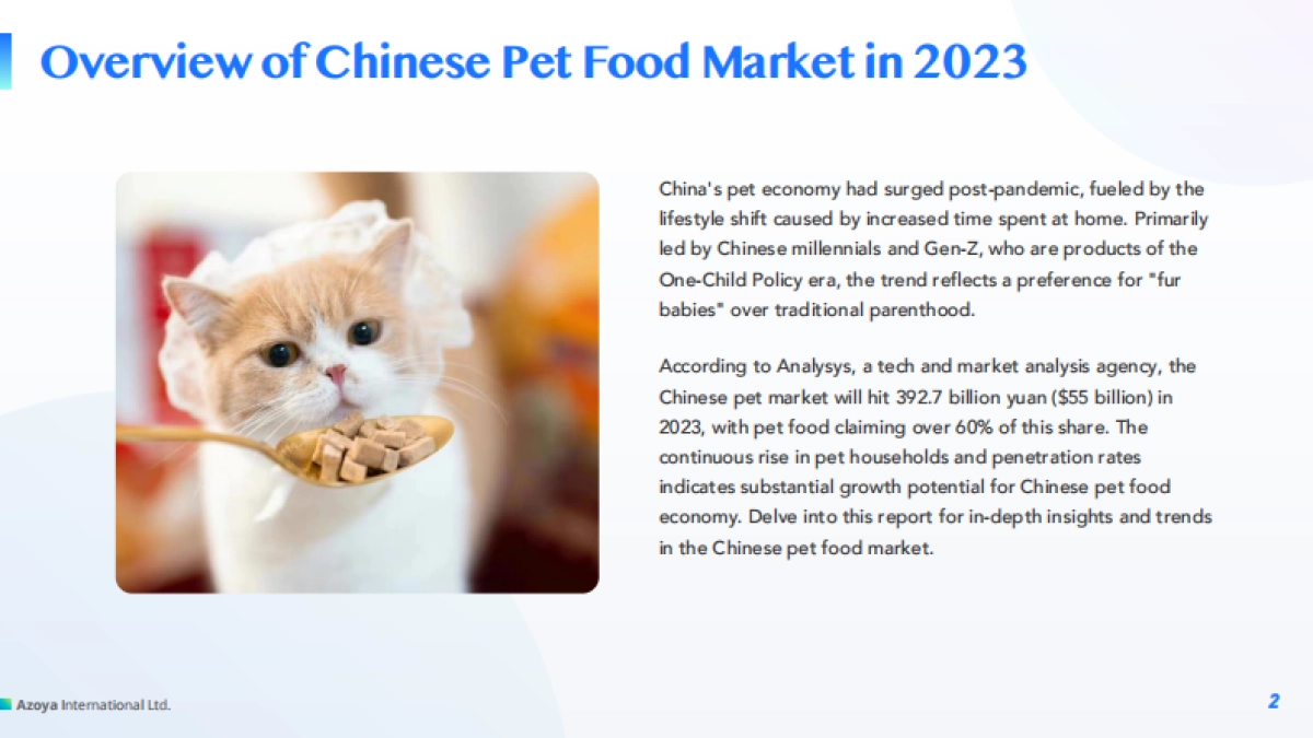 2024中国宠物食品市场概览白皮书(英)-Azoya Consulting_第2页