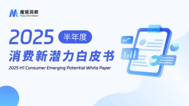 2025半年度消费新潜力白皮书-魔镜洞察
