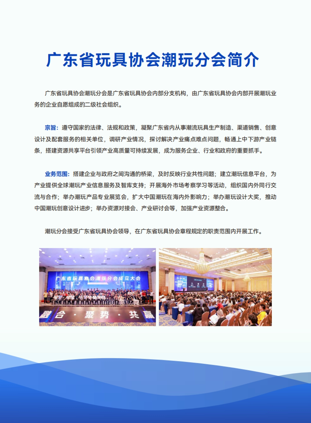 2025年东南亚潮玩市场考察报告-广东省玩具协会_第3页
