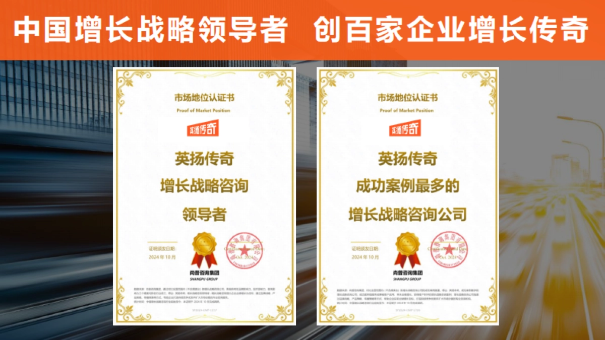 2025年银发族市场洞察报告-英扬传奇增长咨询_第2页