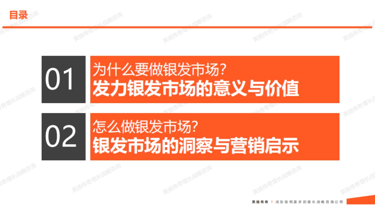 2025年银发族市场洞察报告-英扬传奇增长咨询_第5页