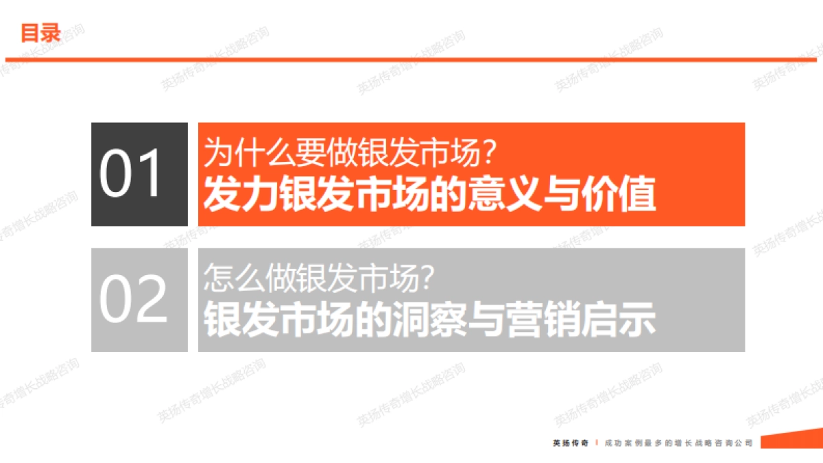 2025年银发族市场洞察报告-英扬传奇增长咨询_第6页