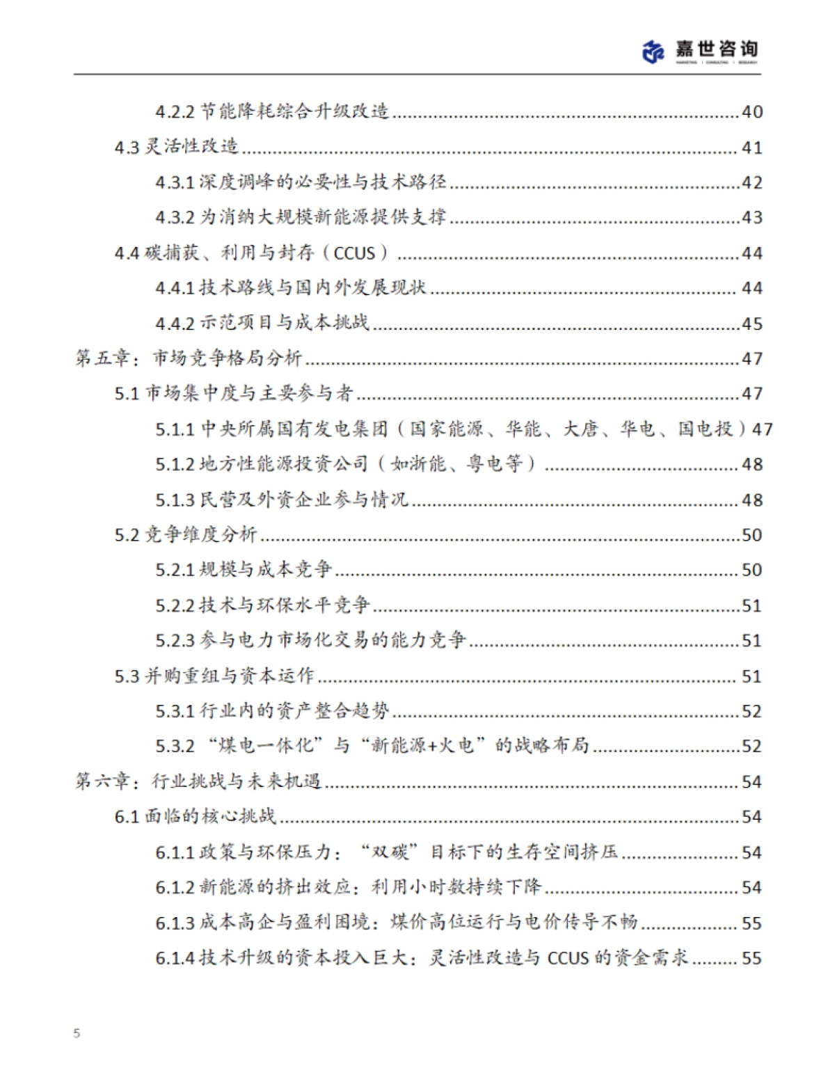 2025年中国火力发电行业现状报告-嘉世咨询_第5页