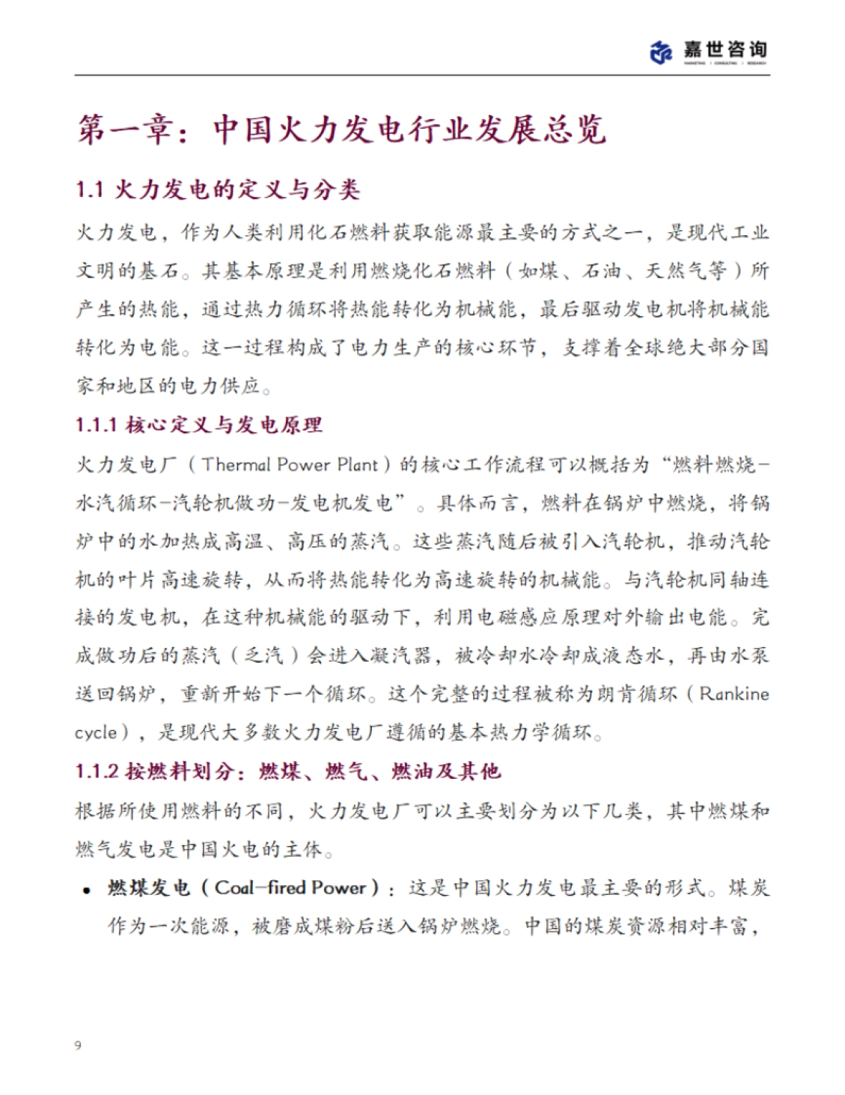 2025年中国火力发电行业现状报告-嘉世咨询_第9页