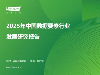 2025年中国数据要素行业发展研究报告-艾瑞咨询