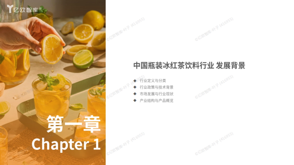 2025中国瓶装冰红茶饮料行业白皮书-亿欧智库_第3页