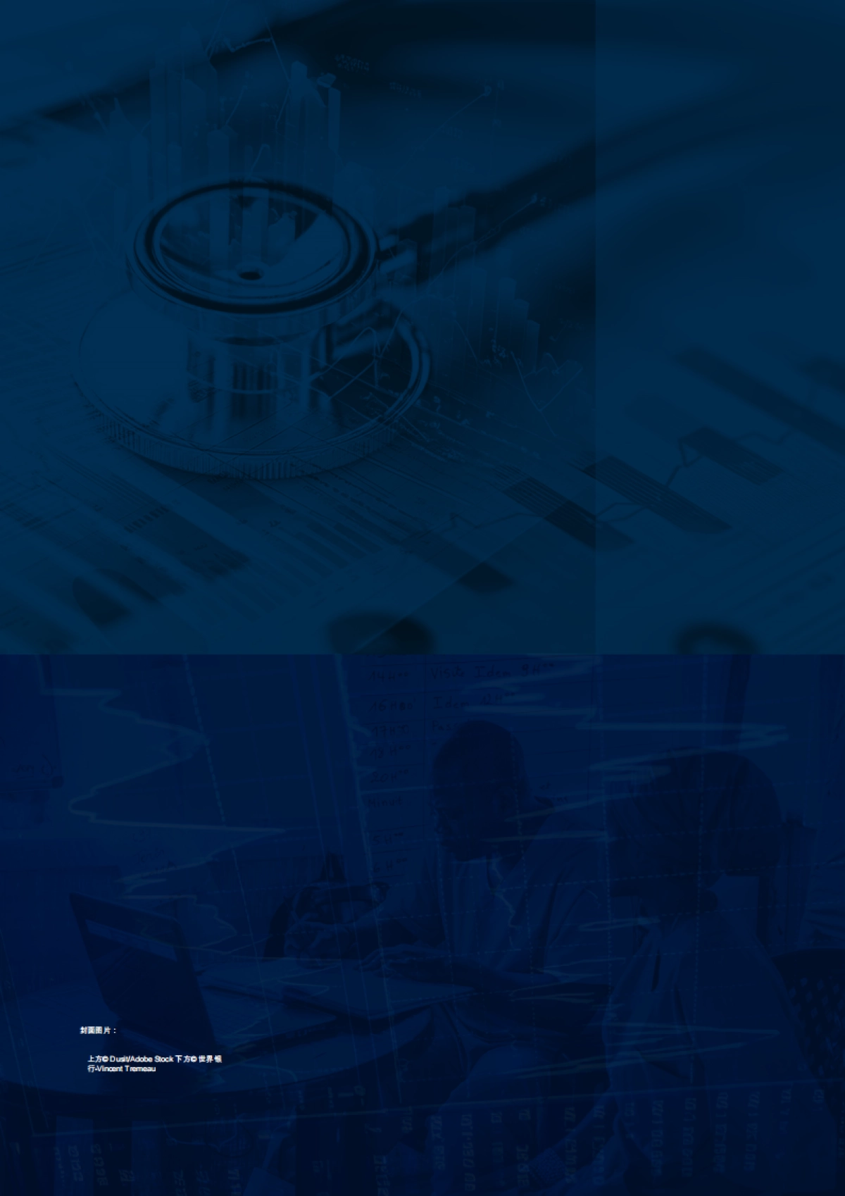 医疗保健预算执行 从瓶颈到解决方案_第2页