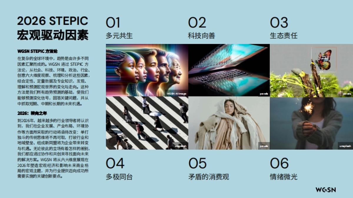 2026年色彩流行趋势报告_第6页