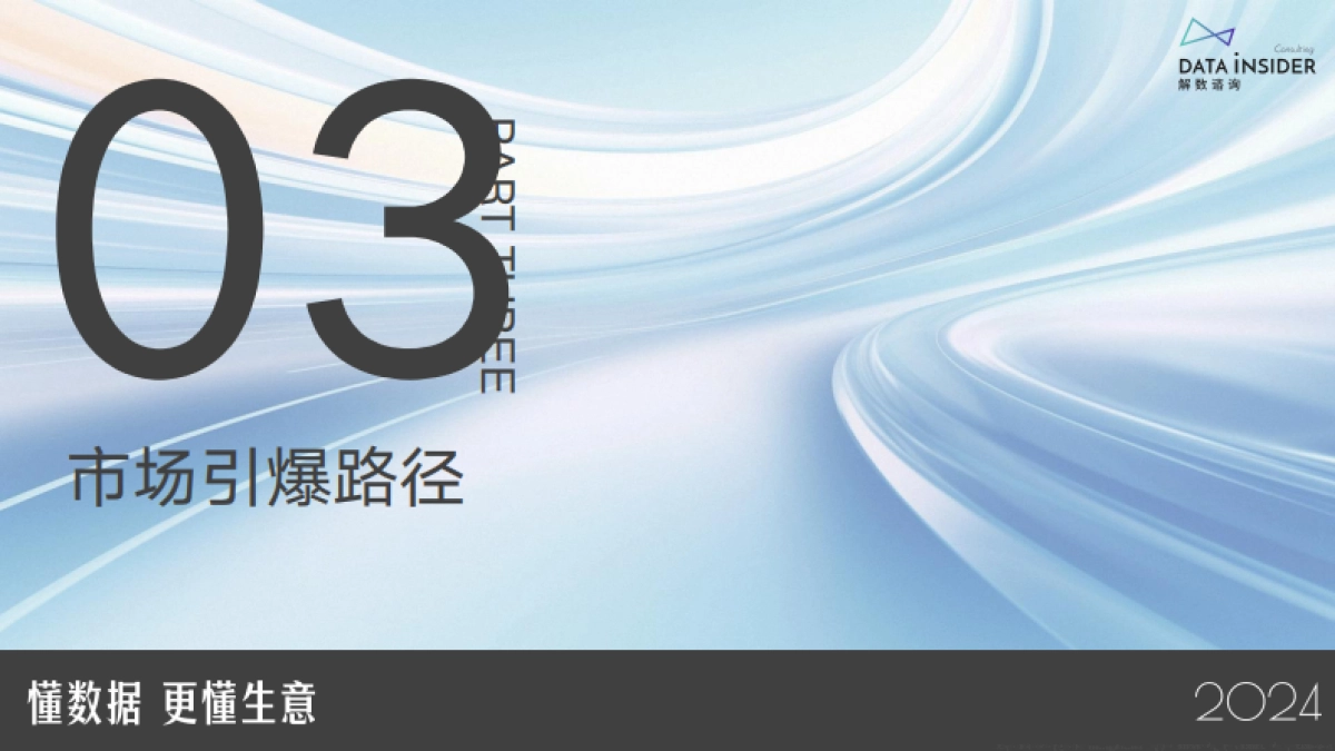 2025高举高打洗发水品牌墨雪拆解报告简版_第10页