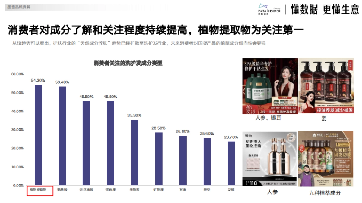 2025高举高打洗发水品牌墨雪拆解报告简版_第9页