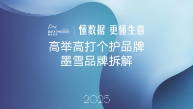 2025高举高打洗发水品牌墨雪拆解报告简版