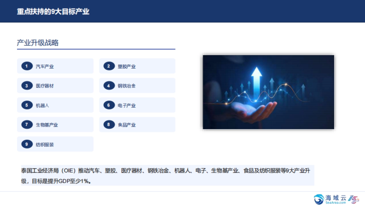 掘金泰国-市场洞察与战略机遇报告2025-海域出海研究_第10页