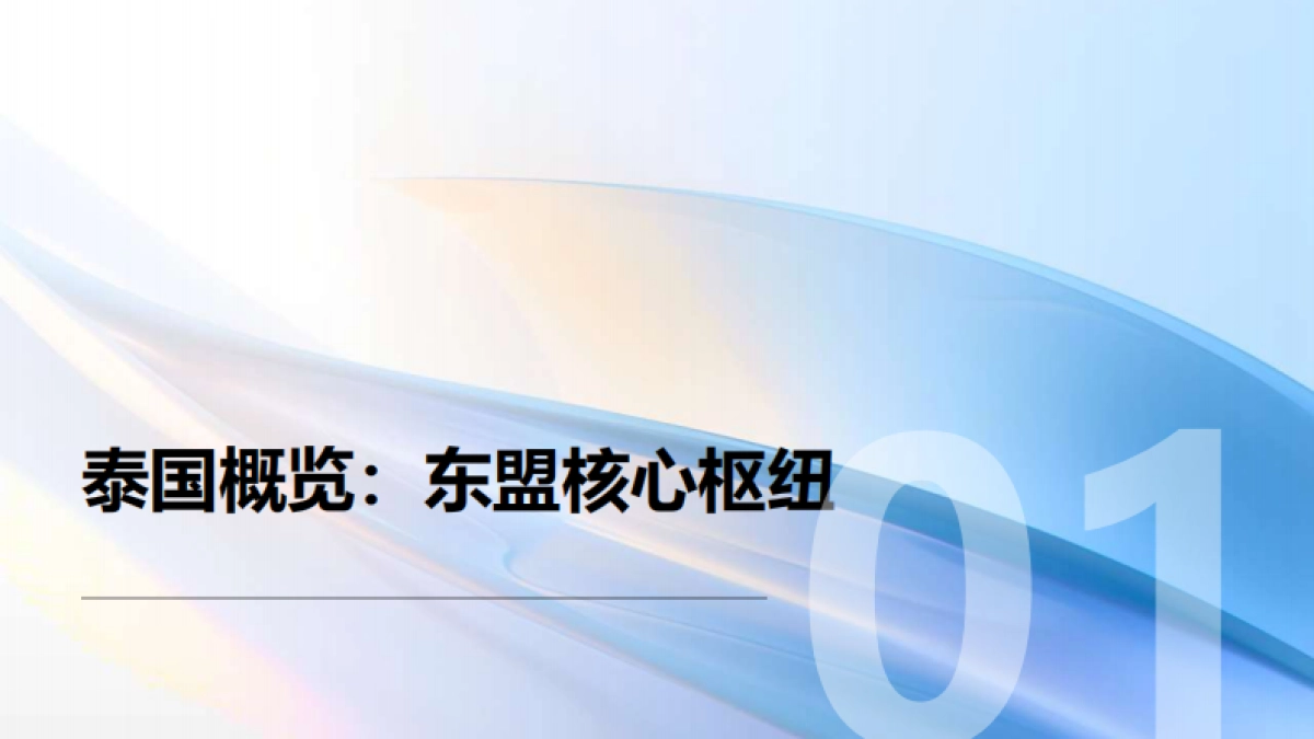 掘金泰国-市场洞察与战略机遇报告2025-海域出海研究_第4页