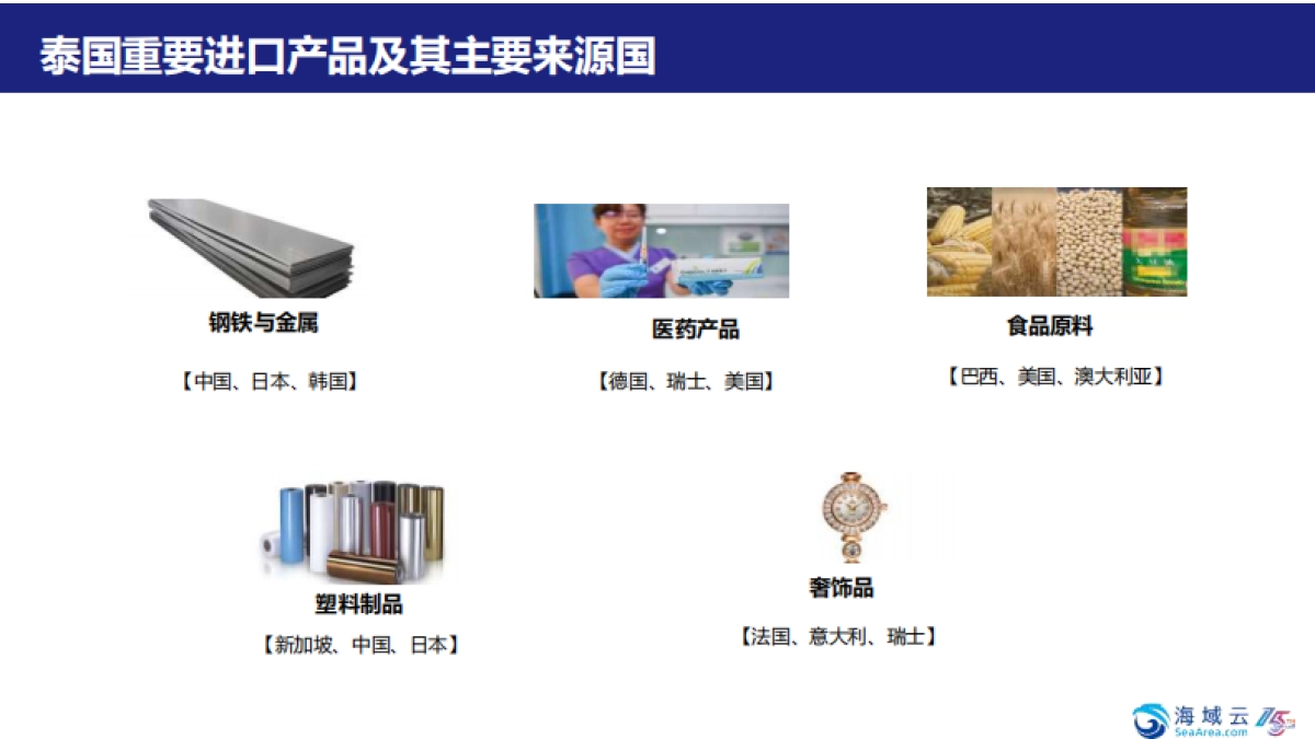 掘金泰国-市场洞察与战略机遇报告2025-海域出海研究_第8页