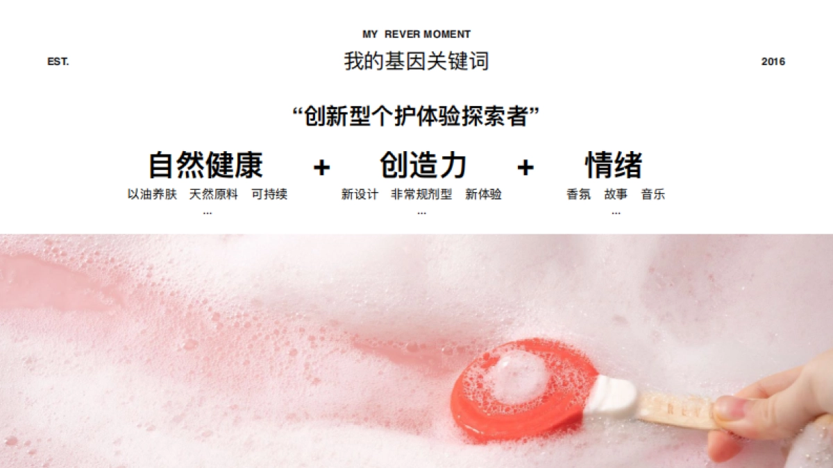REVER品牌介绍_第5页