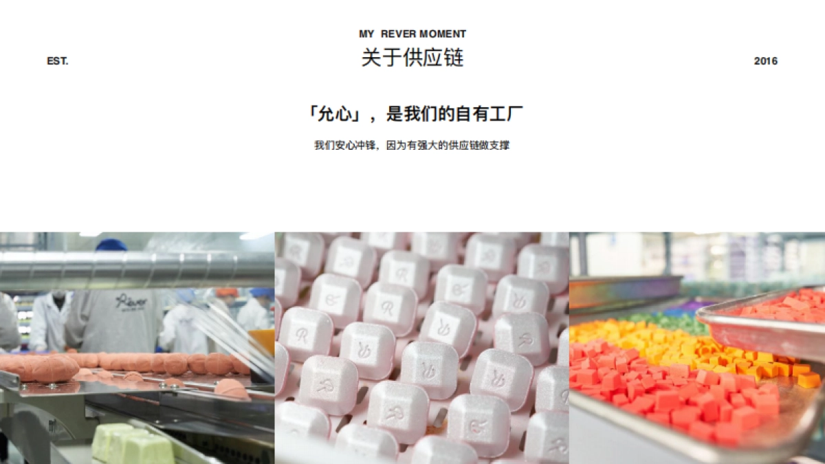 REVER品牌介绍_第9页