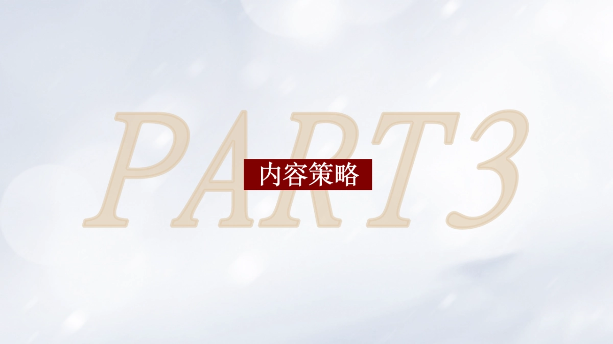 2025护肤品双妹内容策略方案_第3页