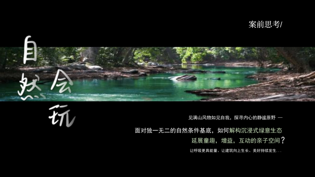 精品森系生态酒店亲子互动网红打卡体验设计规划方案_第4页