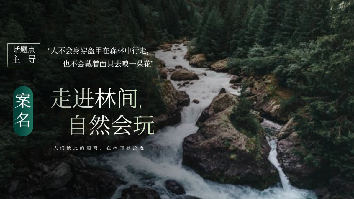 精品森系生态酒店亲子互动网红打卡体验设计规划方案_第5页