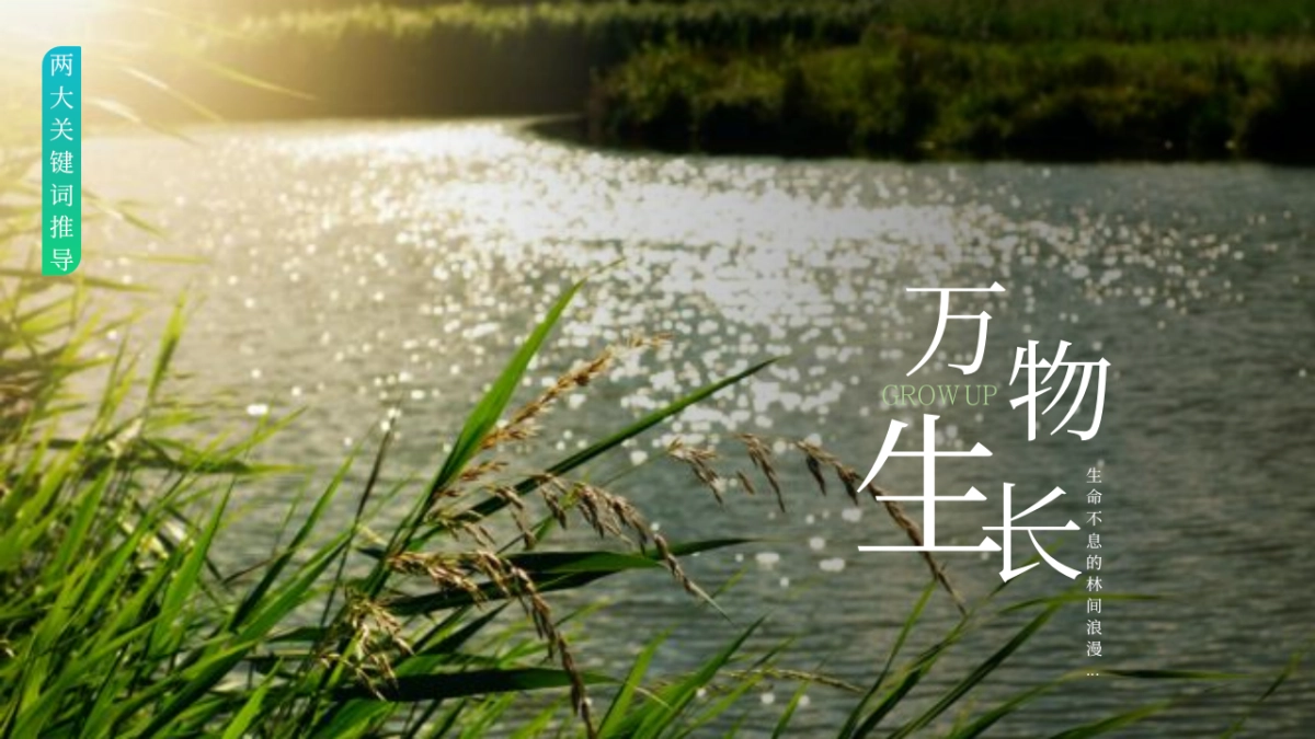 精品森系生态酒店亲子互动网红打卡体验设计规划方案_第6页