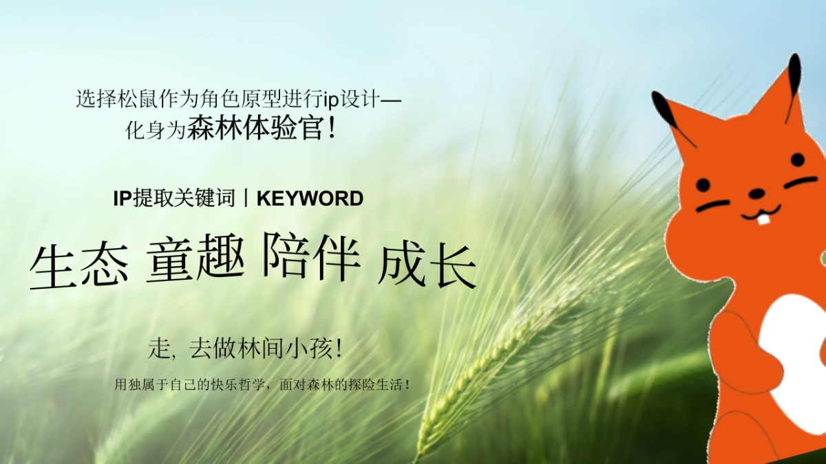 精品森系生态酒店亲子互动网红打卡体验设计规划方案_第9页