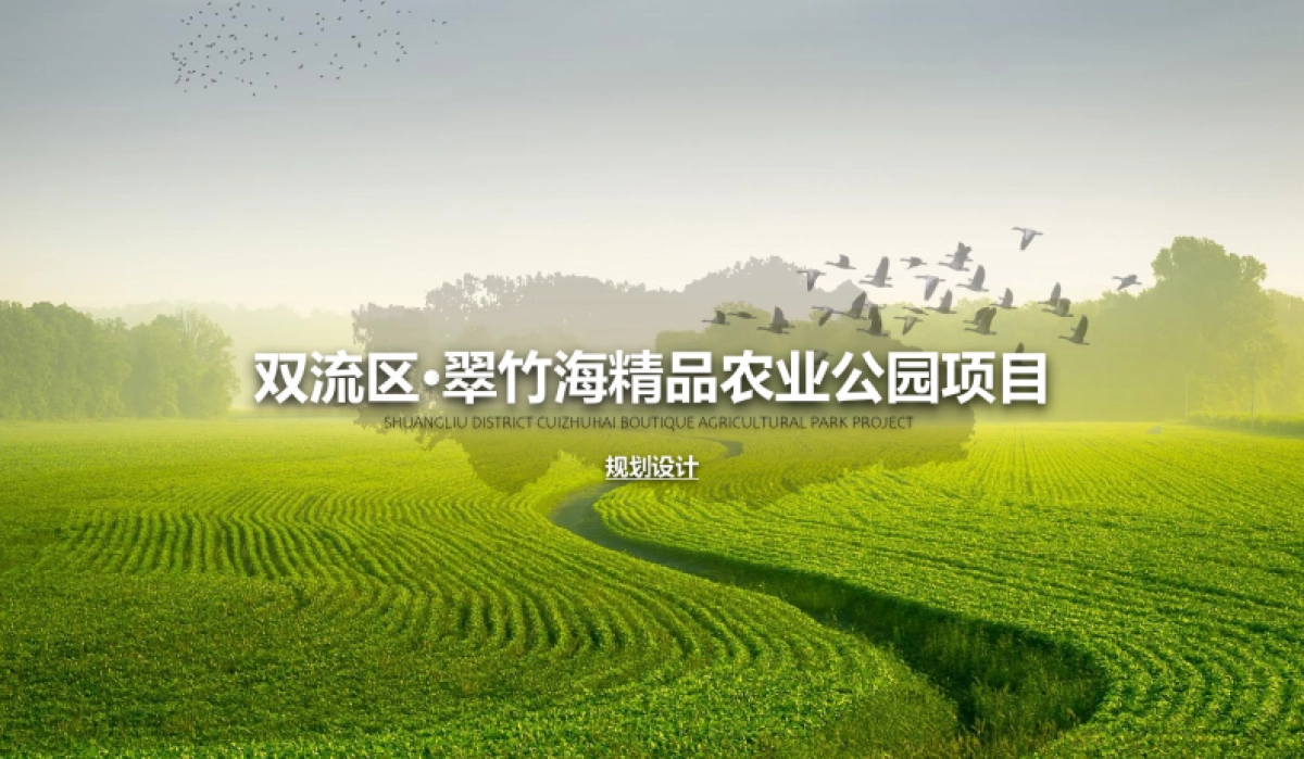 成都双流区翠竹海精品农业公园规划设计案_第1页